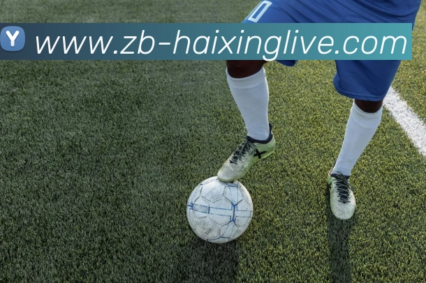 海星体育发展历程